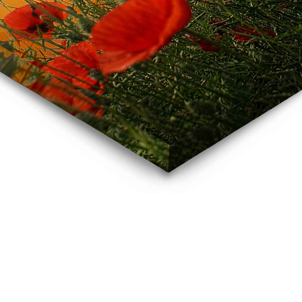 "POPPIES" - Art For Everyone