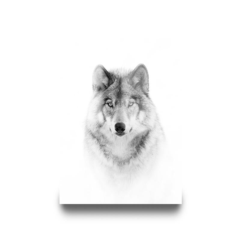 "PORTRAIT OF A TIMBER WOLF"