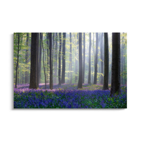 "BLUEBELLS"