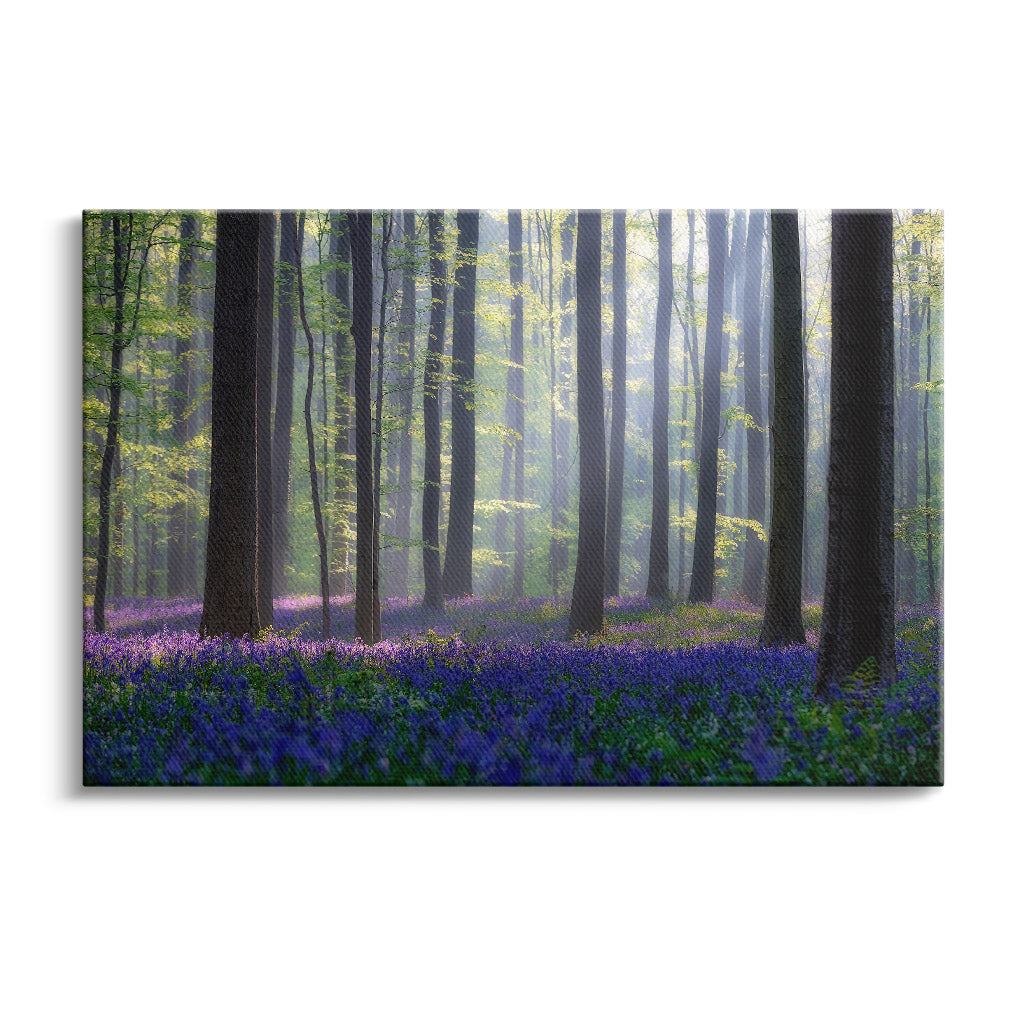 "BLUEBELLS"