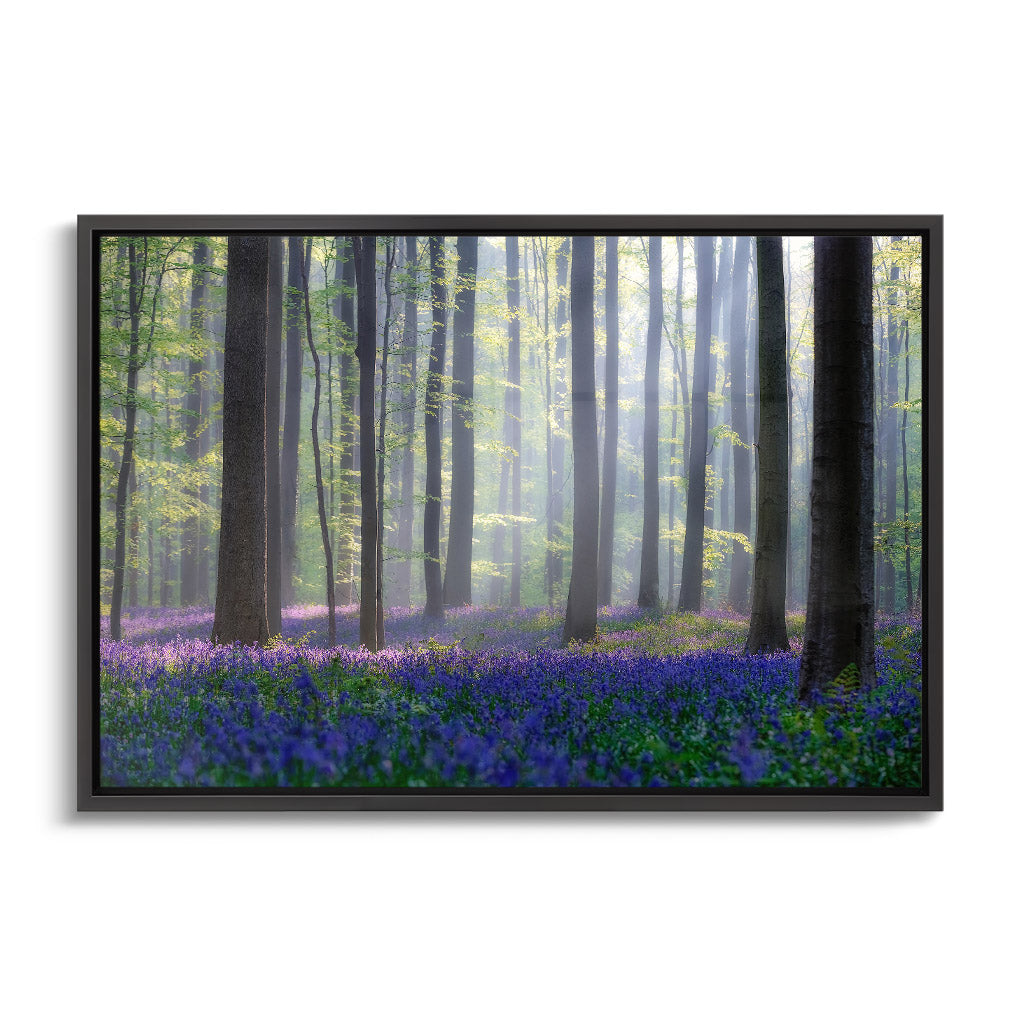 "BLUEBELLS"