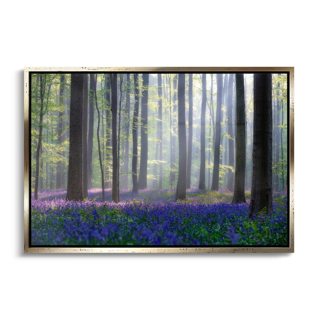 "BLUEBELLS"