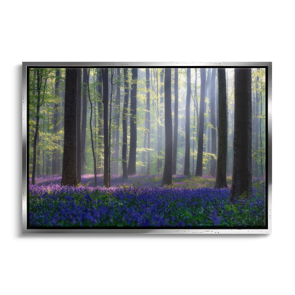 "BLUEBELLS"