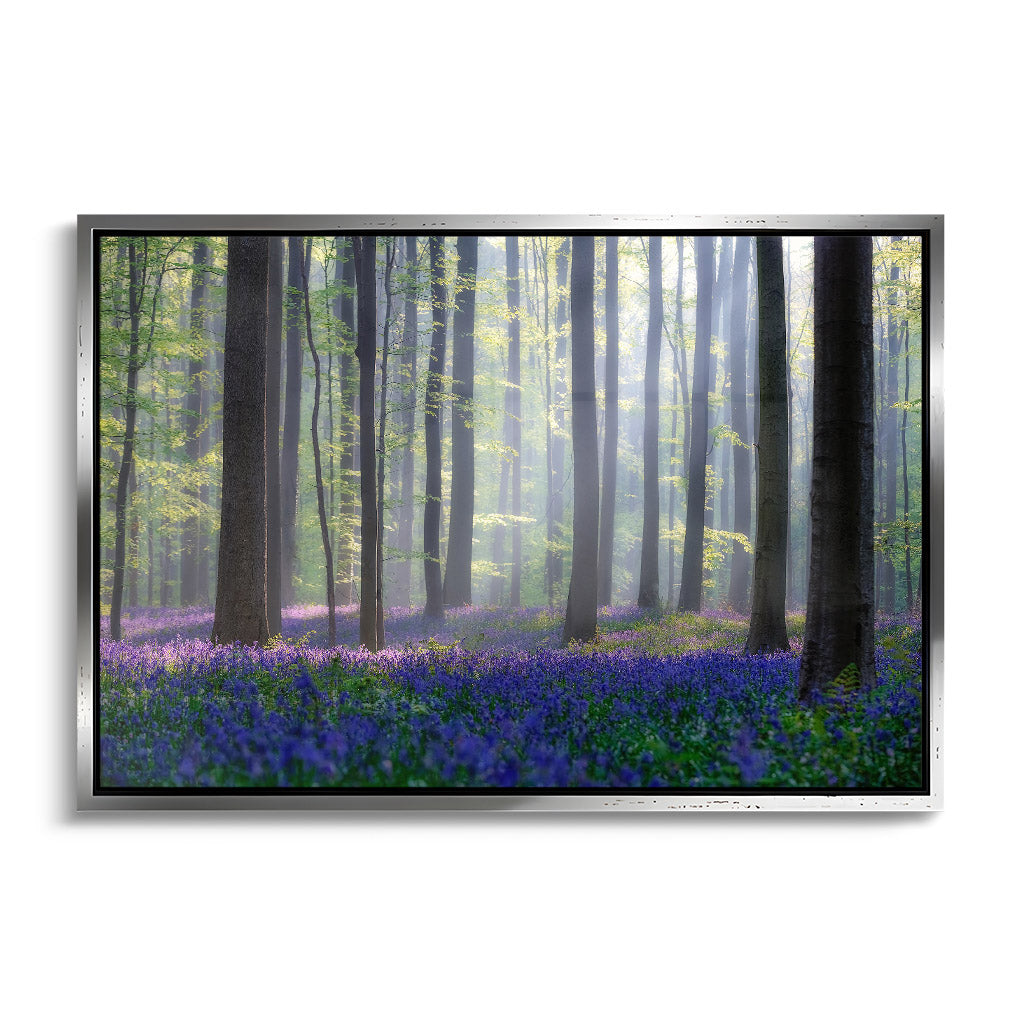 "BLUEBELLS"