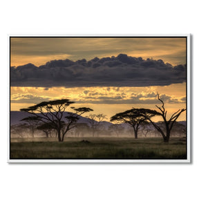 "GOOD EVENING TANZANIA" - Art For Everyone