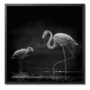 "TWO FLAMINGOS"