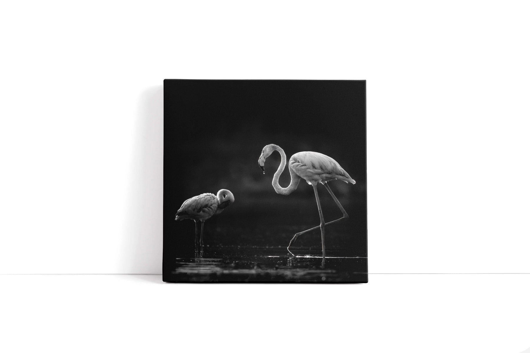 "TWO FLAMINGOS"