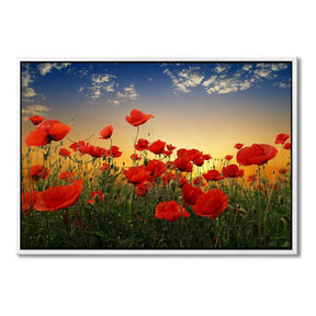 "POPPIES" - Art For Everyone