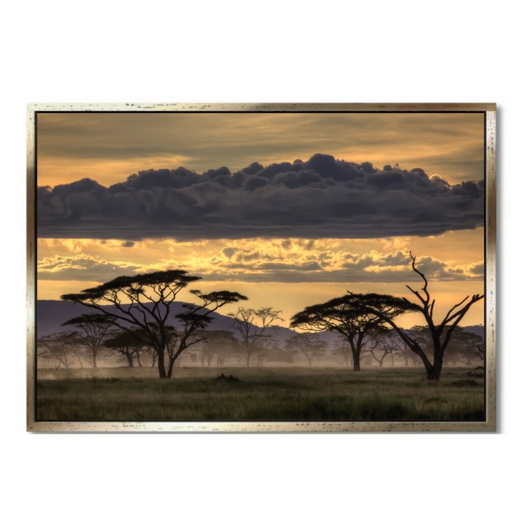 "GOOD EVENING TANZANIA" - Art For Everyone