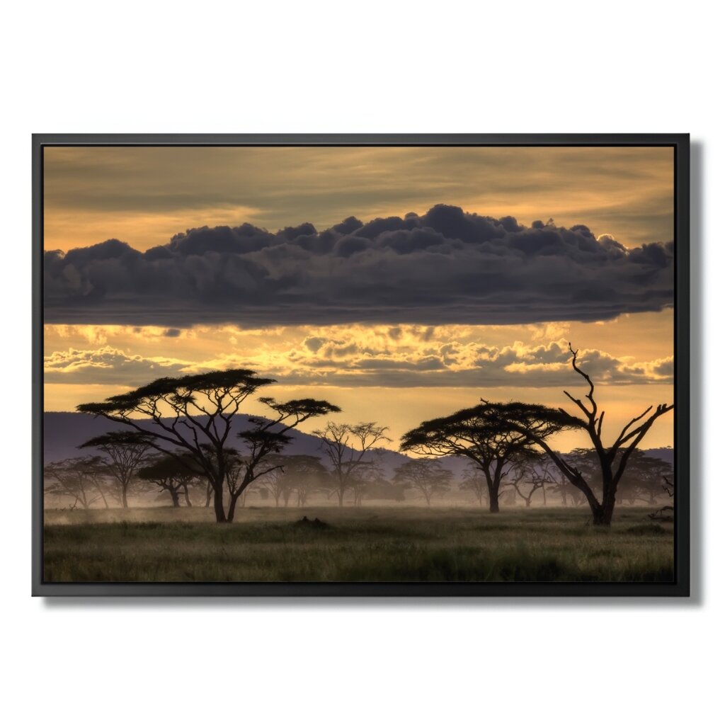 "GOOD EVENING TANZANIA" - Art For Everyone