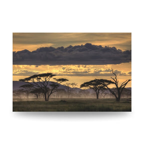 "GOOD EVENING TANZANIA" - Art For Everyone