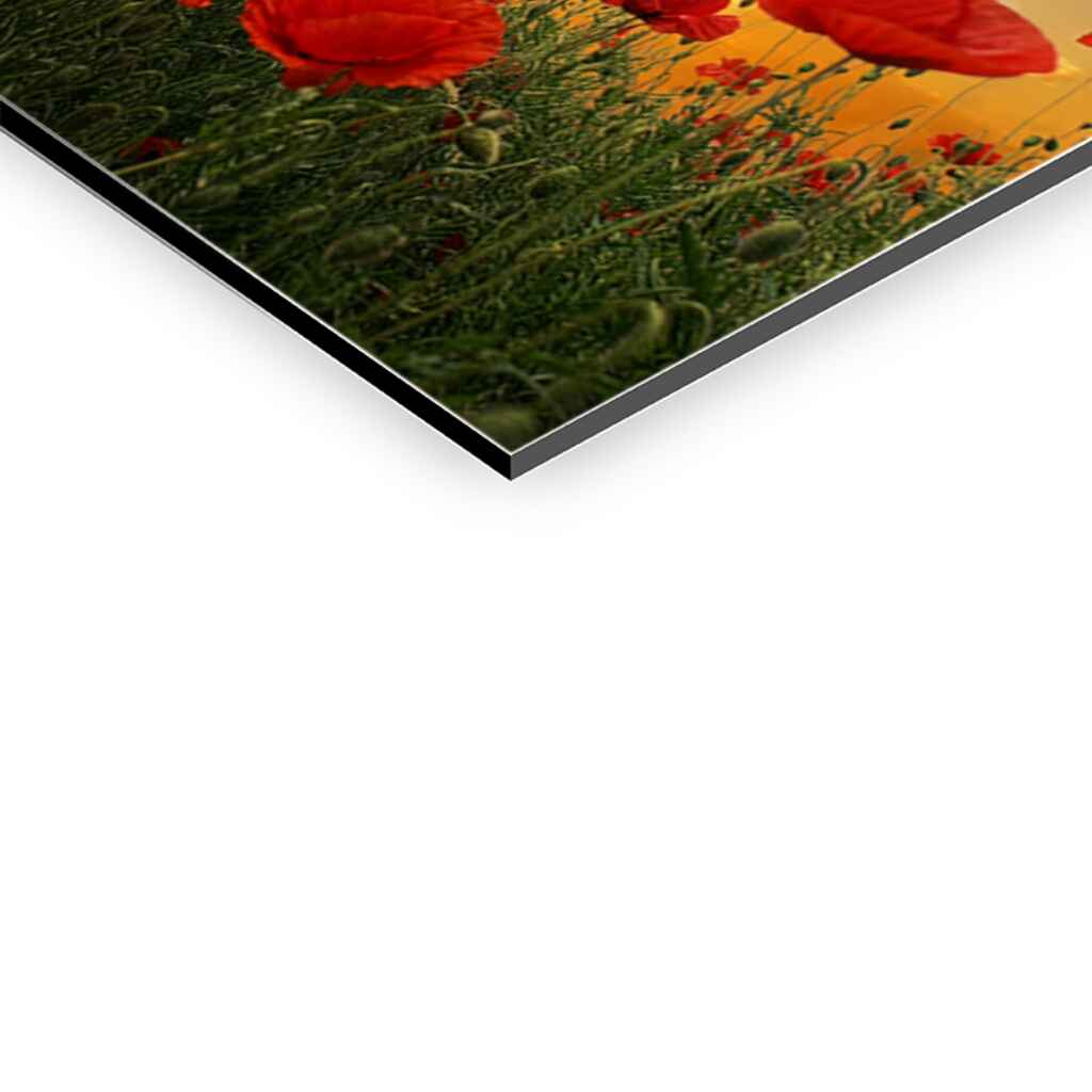 "POPPIES" - Art For Everyone