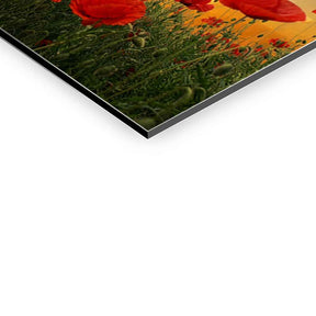 "POPPIES" - Art For Everyone