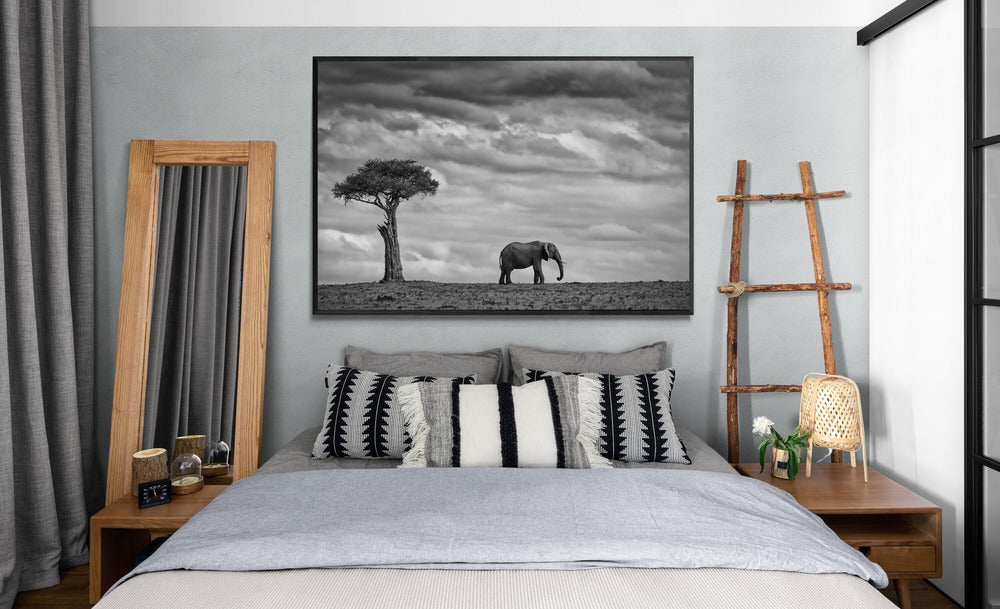 "ELEPHANT LANDSCAPE"