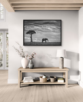 "ELEPHANT LANDSCAPE"