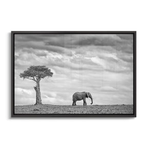 "ELEPHANT LANDSCAPE"