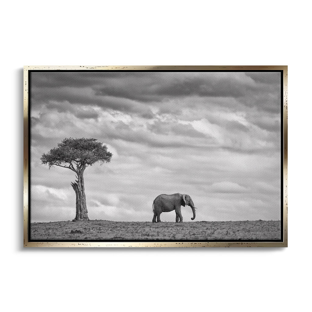 "ELEPHANT LANDSCAPE"