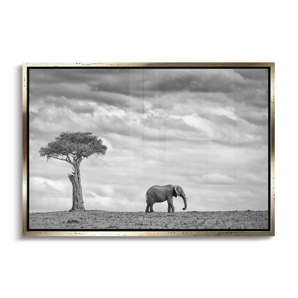 "ELEPHANT LANDSCAPE"