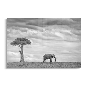 "ELEPHANT LANDSCAPE"