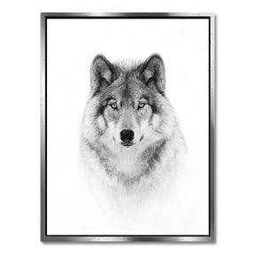 "PORTRAIT OF A TIMBER WOLF"