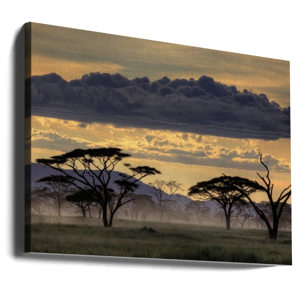 "GOOD EVENING TANZANIA" - Art For Everyone