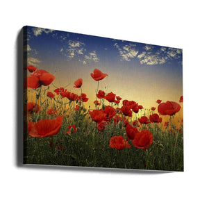 "POPPIES" - Art For Everyone