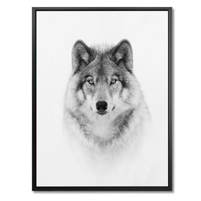 "PORTRAIT OF A TIMBER WOLF"