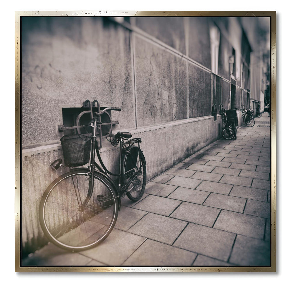 "STREET PHOTOGRAPHY BICYCLE"