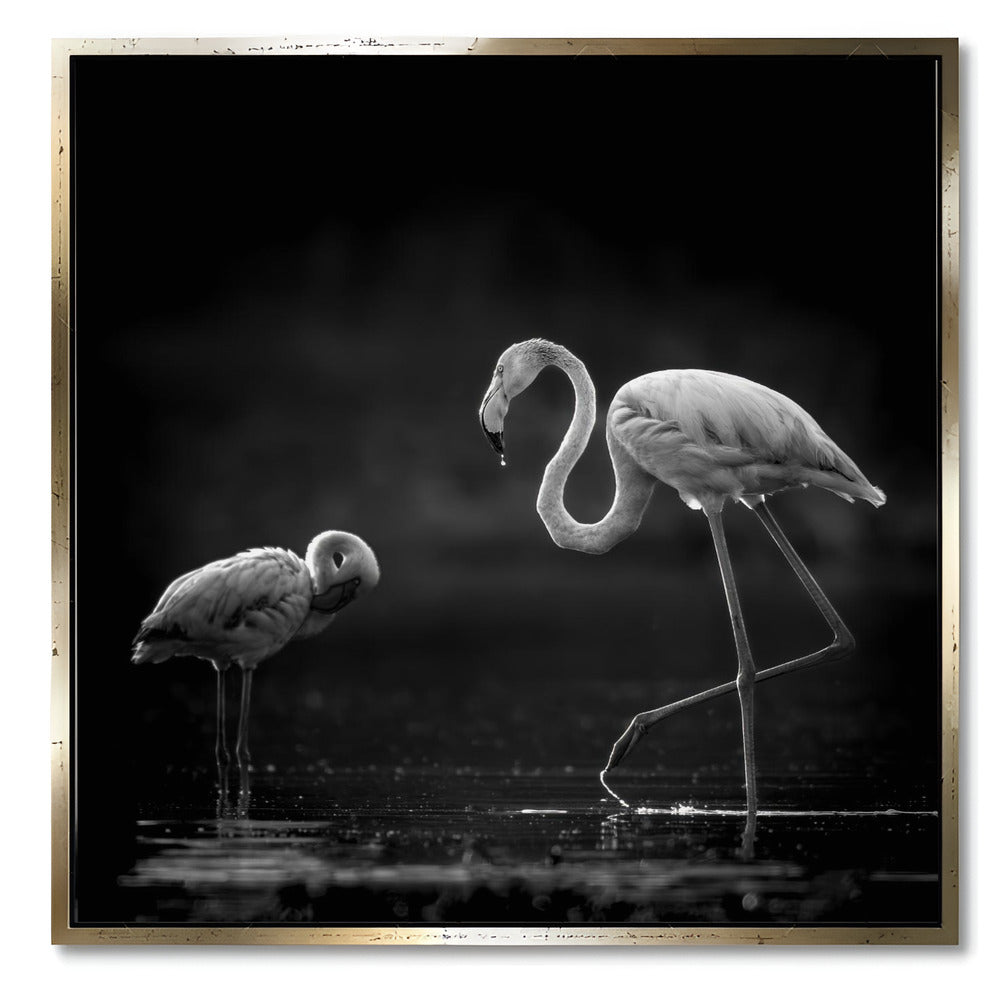 "TWO FLAMINGOS"