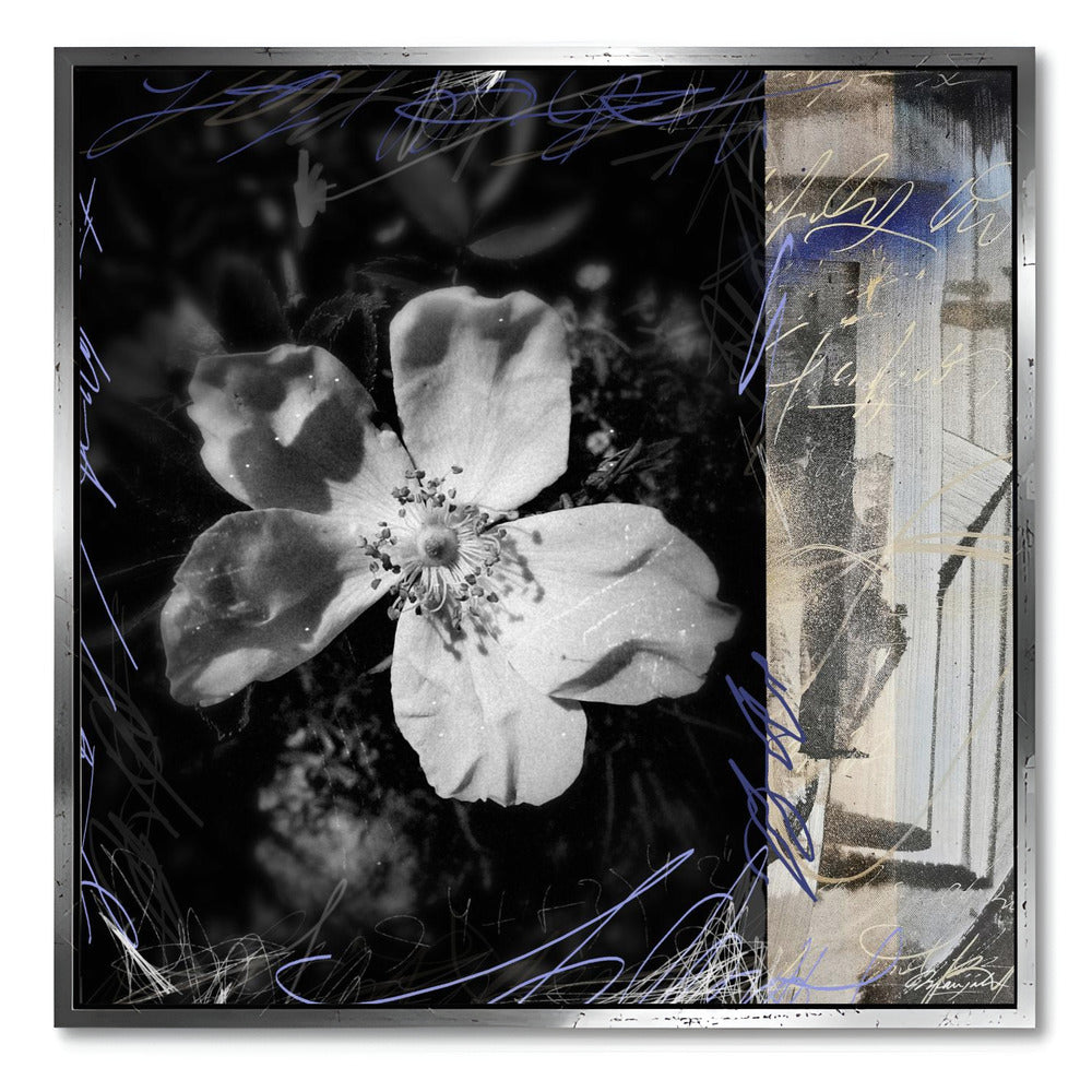 "FLOWERS LANGUAGE N°2"