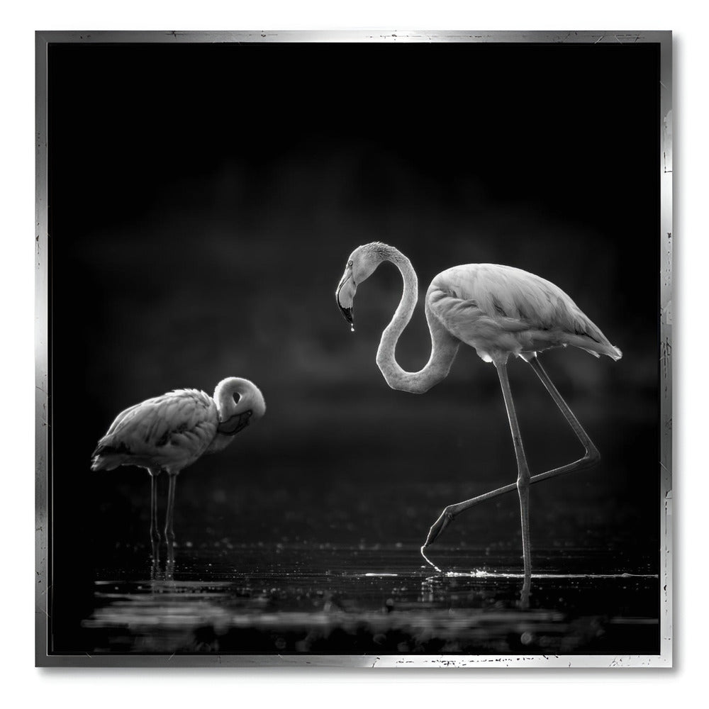 "TWO FLAMINGOS"