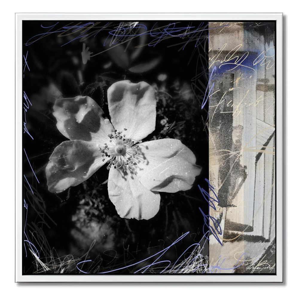 "FLOWERS LANGUAGE N°2"