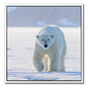 "APEX PREDATOR OF THE ARCTIC"