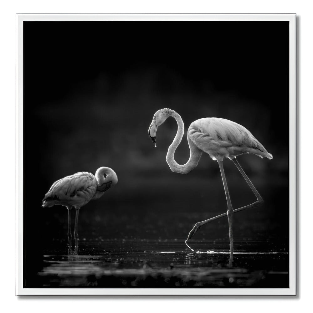 "TWO FLAMINGOS"