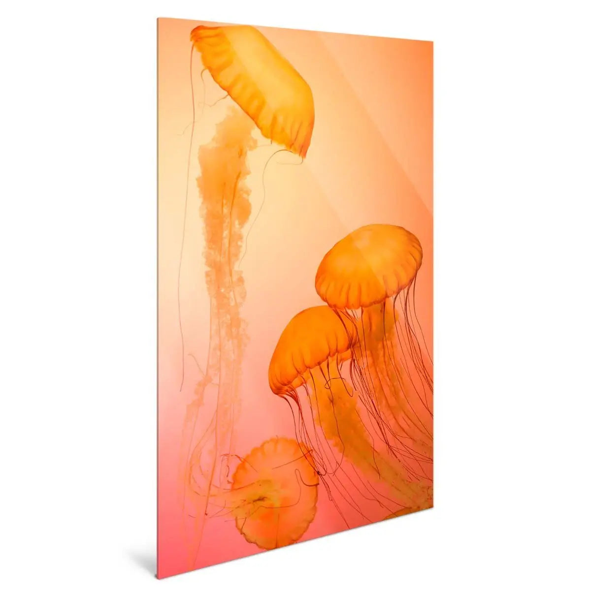 "FIRE ORANGE JELLYFISH" - Art For Everyone