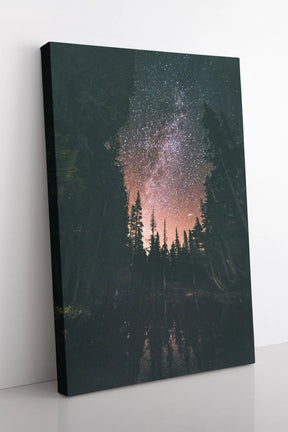 "FOREST AT NIGHT" - Art For Everyone