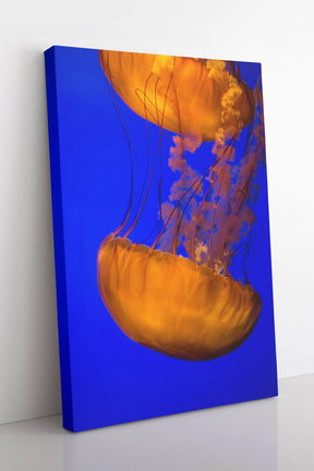 "ORANGE BLUE JELLYFISH" - Art For Everyone